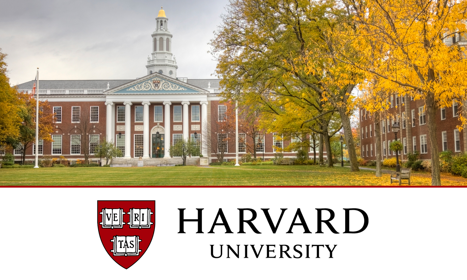 La Universidad de Harvard anuncia un curso de corta duración sobre Data  Science - Brita Inteligencia Artificial